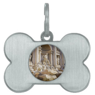 Trevi fountain pet ID tag