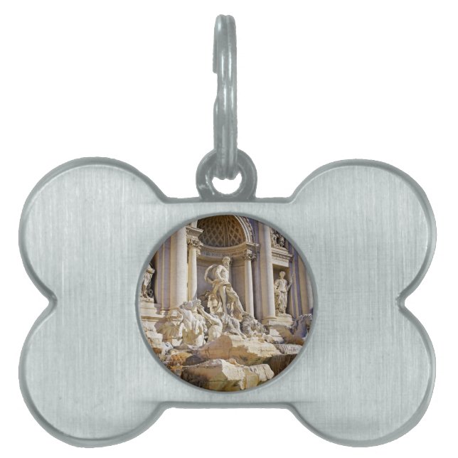 Trevi fountain pet ID tag (Front)