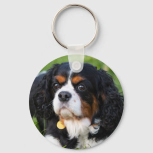 Tri Color Cavalier King Charles Spaniel Dog Key Ring