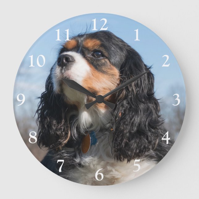 Tri Color Cavalier King Charles Spaniel Dog Large  Clock (Front)