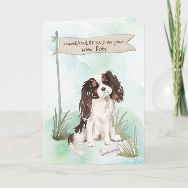 Tri Color King Charles Spaniel Congrats New Dog Card (Front)