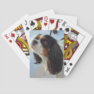 Tri-Colored Cavalier Spaniel Playing Cards