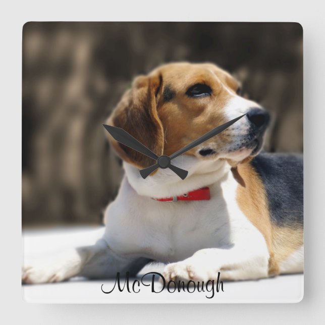 Tri-Colour Beagle Square Wall Clock (Front)