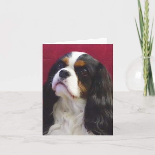 Tri-Colour Cavalier King Charles Blank Note Card (Front)