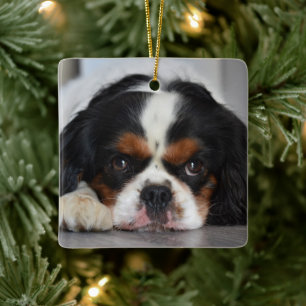 Tri Colour Cavalier King Charles Dog Ceramic Ornament