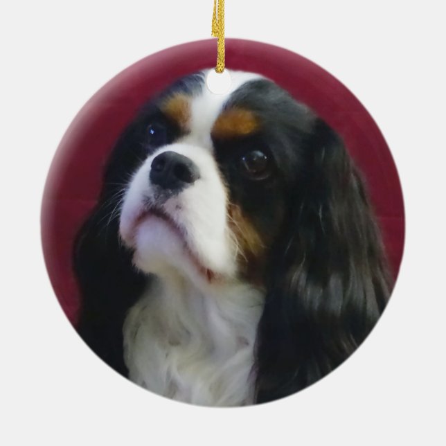 Tri-Colour Cavalier King Charles Ornament (Back)
