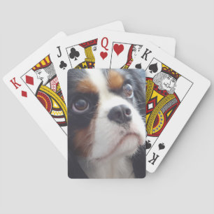 Tri-Colour Cavalier King Charles Playing Cards
