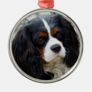 Tri Colour Cavalier King Charles Spaniel Ceramic O Metal Ornament