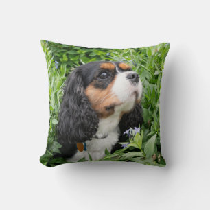 Tri Colour Cavalier King Charles Spaniel Dog  Cushion