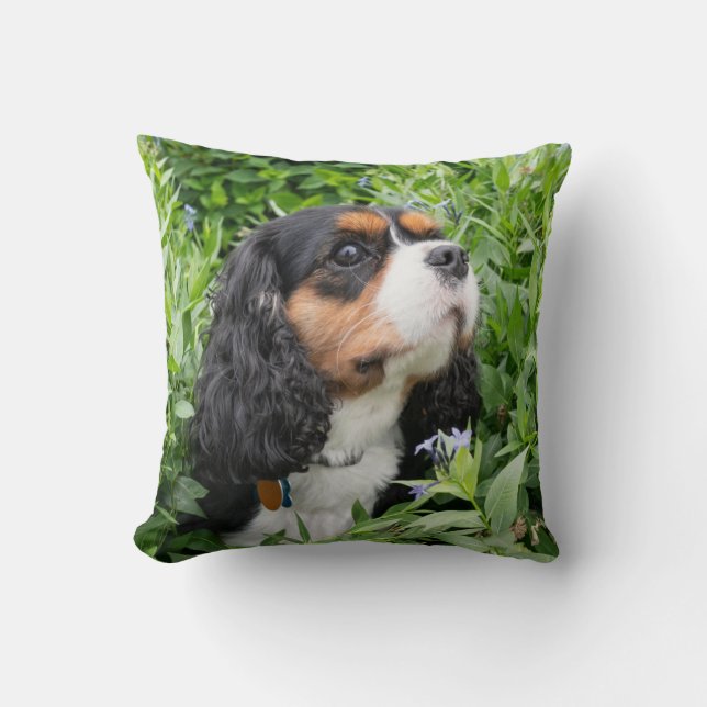Tri Colour Cavalier King Charles Spaniel Dog  Cushion (Front)