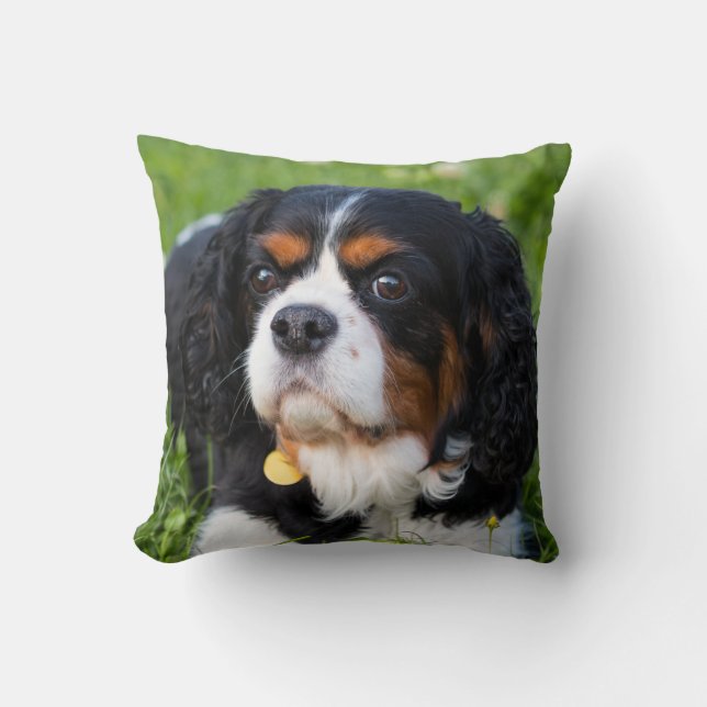 Tri Colour Cavalier King Charles Spaniel Dog Cushion (Front)
