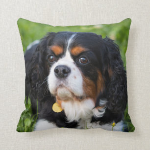 Tri Colour Cavalier King Charles Spaniel Dog Cushion