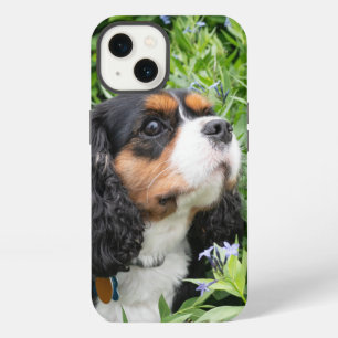 Tri Colour Cavalier King Charles Spaniel Dog iPhone 13 Case