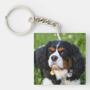 Tri Colour Cavalier King Charles Spaniel Dog Key Ring