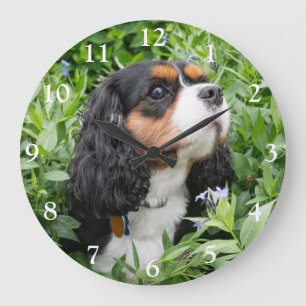 Tri Colour Cavalier King Charles Spaniel Dog Large Clock