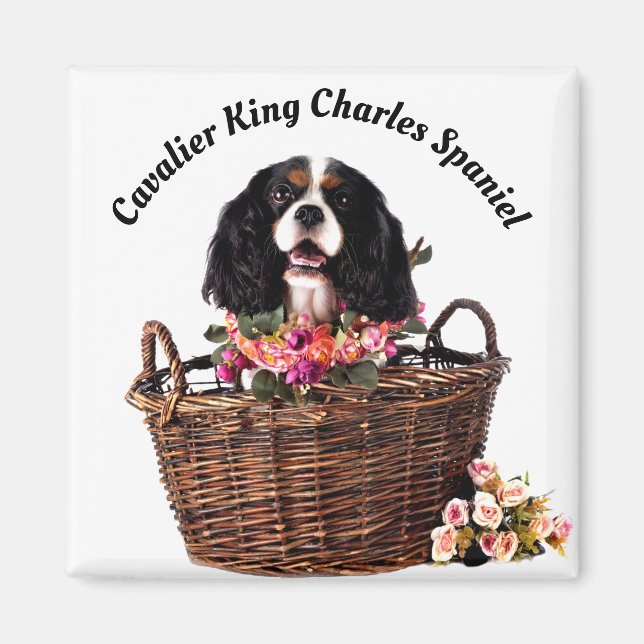 Tri Colour Cavalier King Charles Spaniel Dog Magnet (Front)