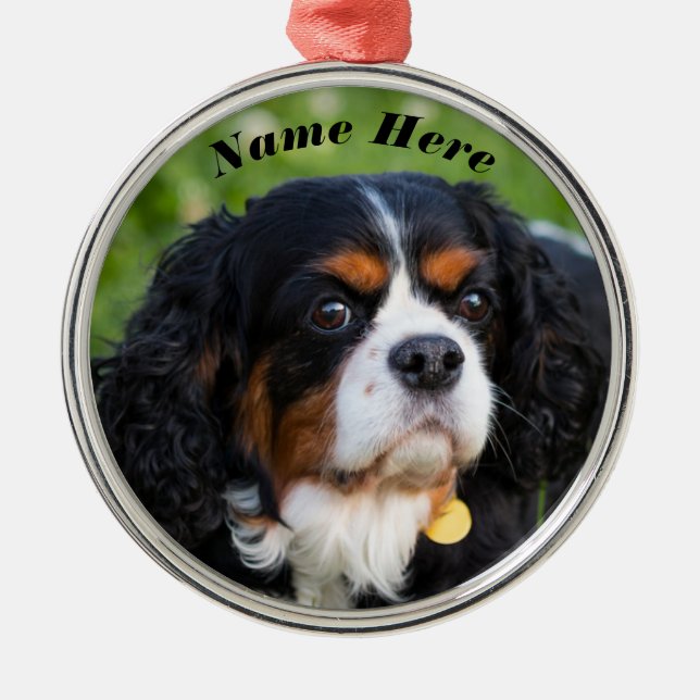 Tri Colour Cavalier King Charles Spaniel Dog Metal Ornament (Front)