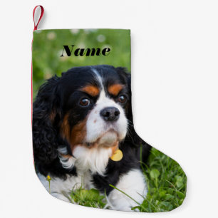 Tri Colour Cavalier King Charles Spaniel Dog Small Christmas Stocking
