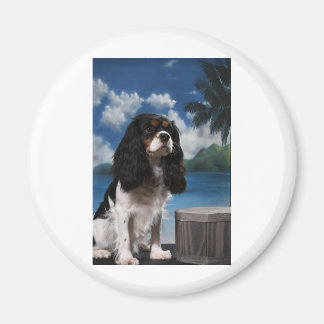 Tri colour Cavalier King Charles Spaniel Magnet