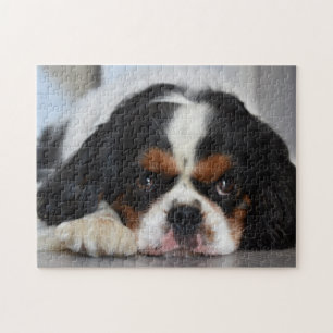 Tri Colour Cavalier King Charles Spaniel Puppy Dog Jigsaw Puzzle