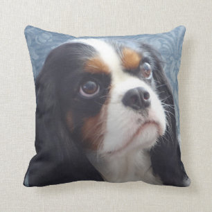 Tri-Colour Cavalier Throw Pillow