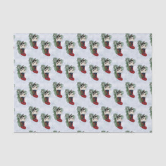 Tri-colour Corgi in Stocking Tissue Paper