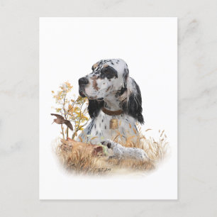 Tri Colour English Setter Art, woodcock Hunting Postcard