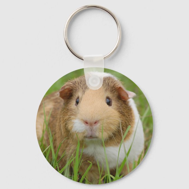 Tri Colour Guinea Pig Key Ring (Front)