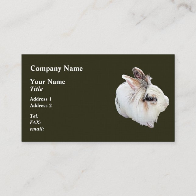 Tri-Colour Lionhead Rabbit Business Card (Front)