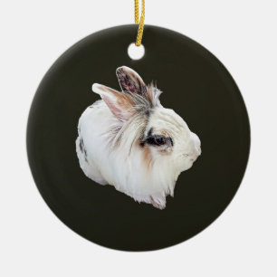 Tri-Colour Lionhead Rabbit Ceramic Ornament
