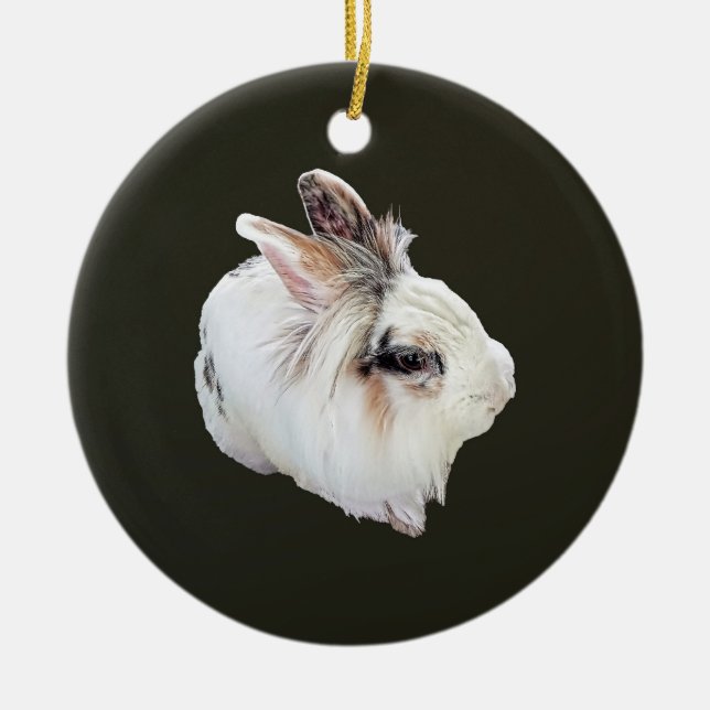 Tri-Colour Lionhead Rabbit Ceramic Ornament (Front)
