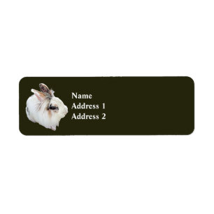 Tri-Colour Lionhead Rabbit Return Address Label