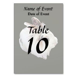Tri-Colour Lionhead Rabbit Table Number