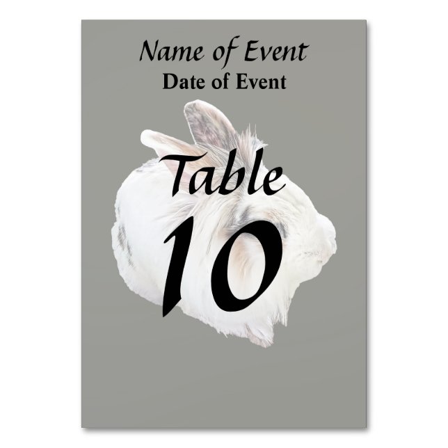 Tri-Colour Lionhead Rabbit Table Number (Front)