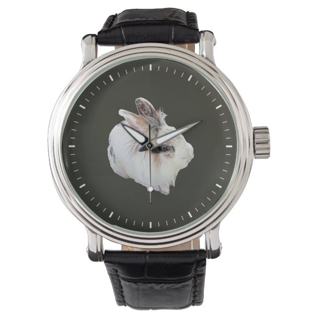 Tri-Colour Lionhead Rabbit Watch (Front)