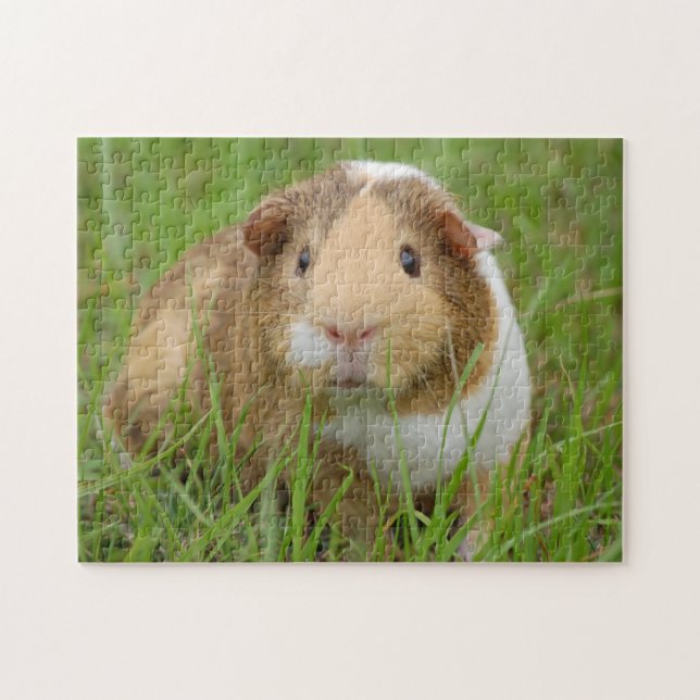 Tri Colour Pet Guinea Pig in the Grass Jigsaw Puzzle (Horizontal)