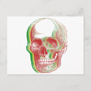 Tri-colour Rasta Skull Postcard