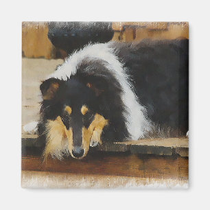 Tri Colour Rough Collie Gifts Art Magnet