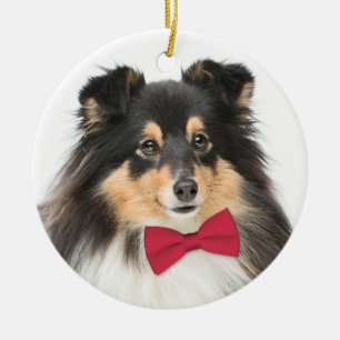 Tri-Colour Sheltie Christmas Ornament