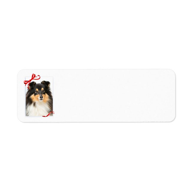 Tri-Colour Sheltie Return Address Labels (Front)
