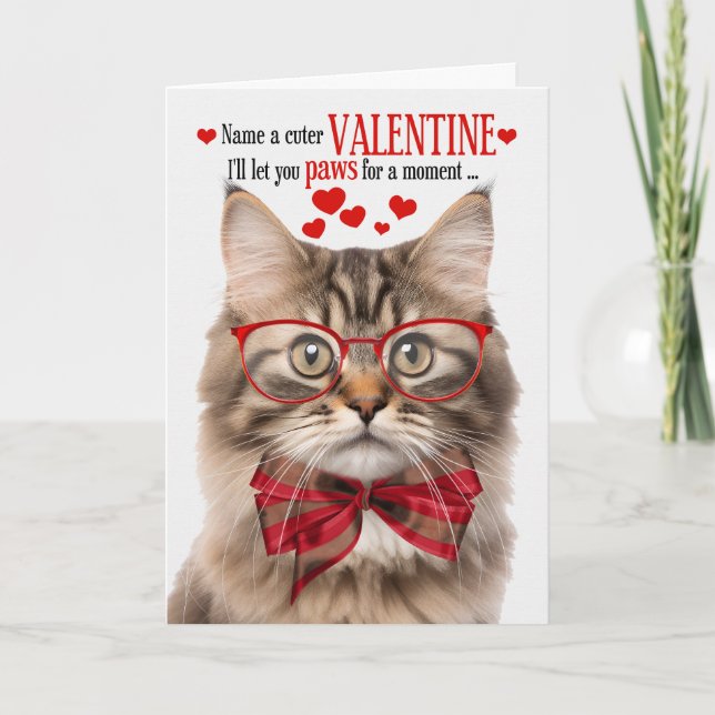 Tri Colour Tabby Cat Lover Valentine Feline Humour Holiday Card (Front)