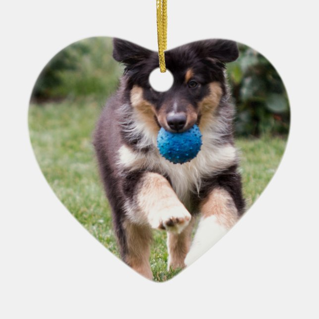 Tri Coloured Australian Shepherd Pup Ceramic Ornament (Front)