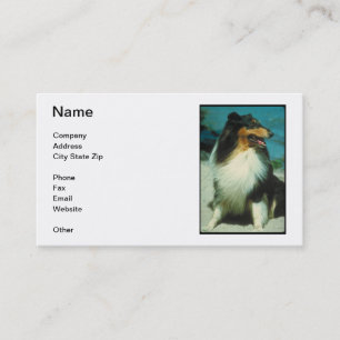 Tri-Coloured Collie Business Card