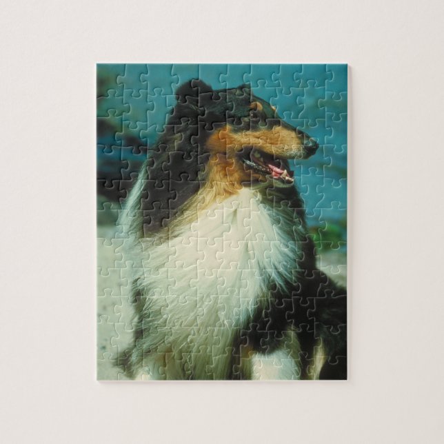 Tri-Coloured Collie Dog Puzzle (Vertical)