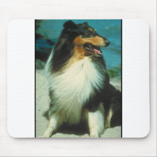 Tri-Coloured Collie Rough Coat Mouse Pad