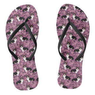 Tri Coloured Corgi Cherry Blossoms - purple Thongs