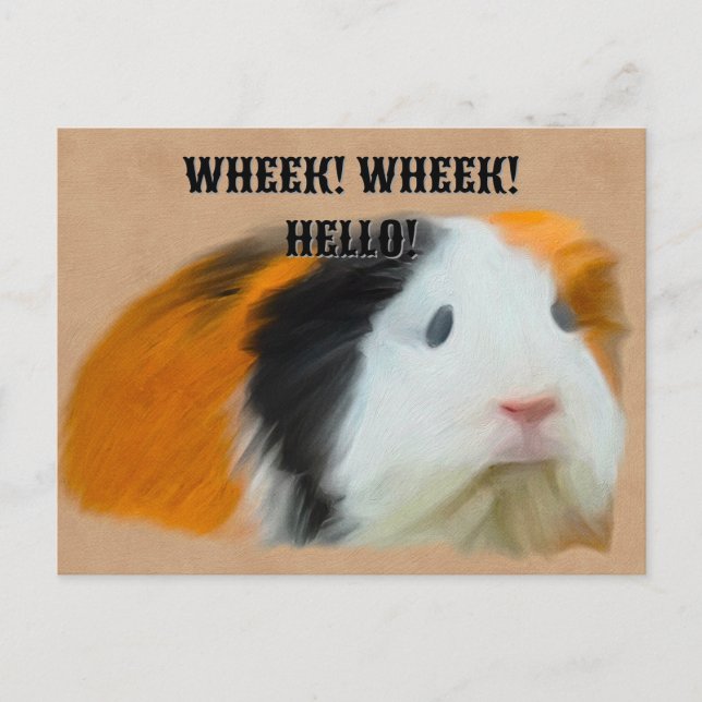 Tri-Coloured Guinea Pig Postcard (Front)