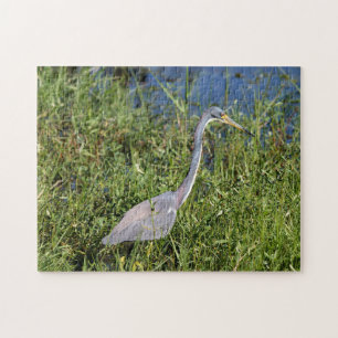 Tri Coloured Heron Jigsaw Puzzle