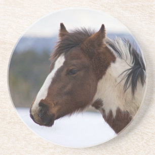 Tri-Coloured Horse Coaster