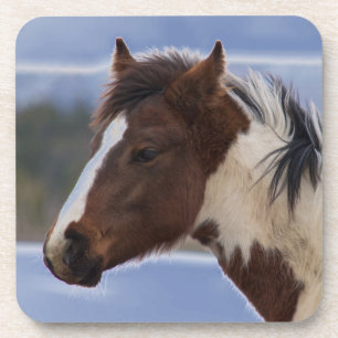 Tri-Coloured Horse Coaster